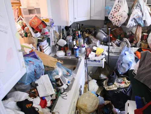 Messie Hilfe Oberösterreich